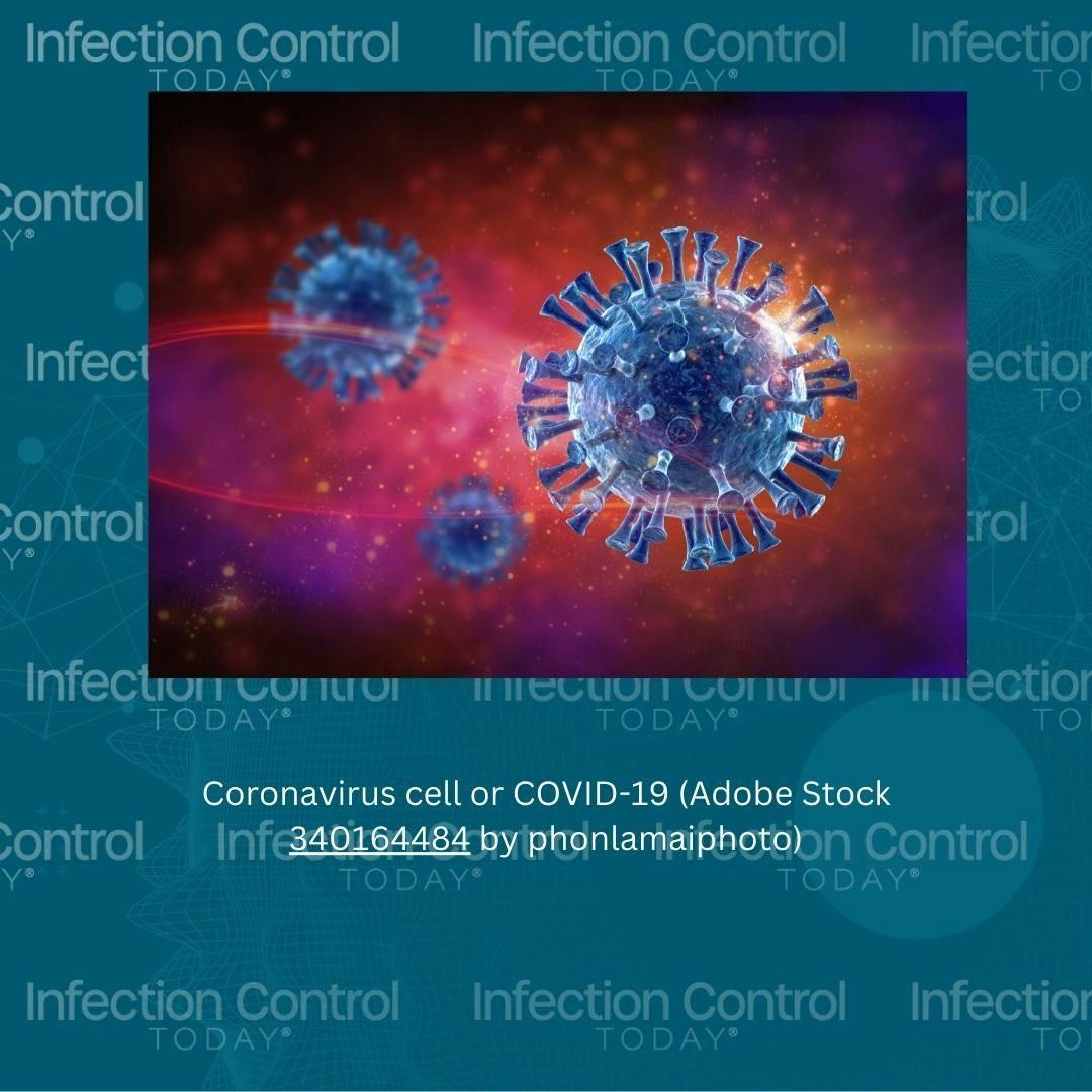 Coronavirus cell or COVID-19  (Adobe Stock 340164484 by phonlamaiphoto)