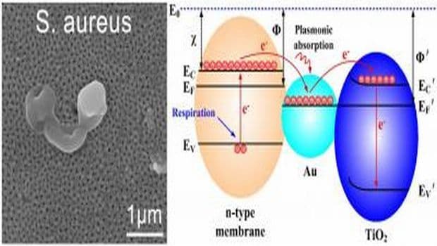 Researchers Develop New Way to Combat Bacterial Biofilm Formation with Titanium, Gold Nanoparticles